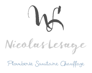 Logo Nicolas Lesage